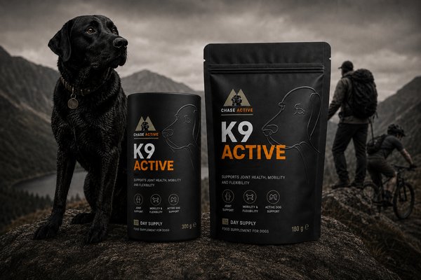 K9 Active